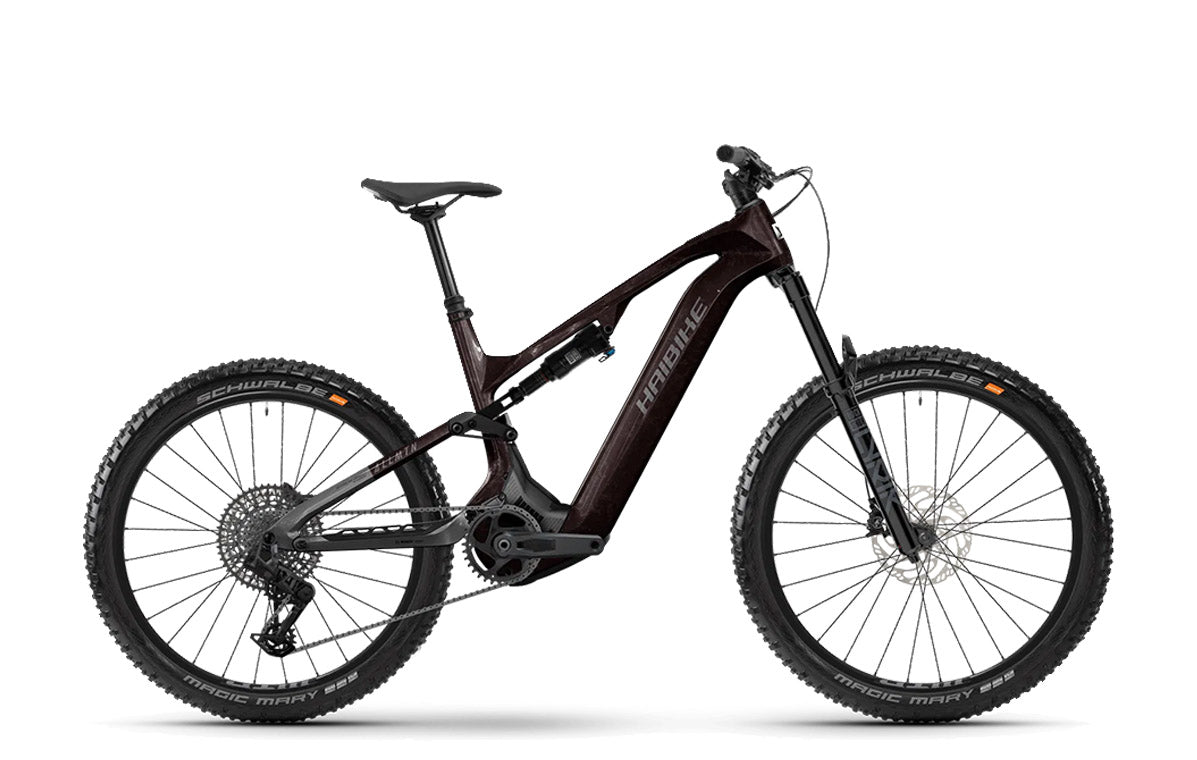 Haibike ALLMTN CF 9