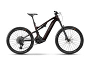 Haibike ALLMTN CF 9