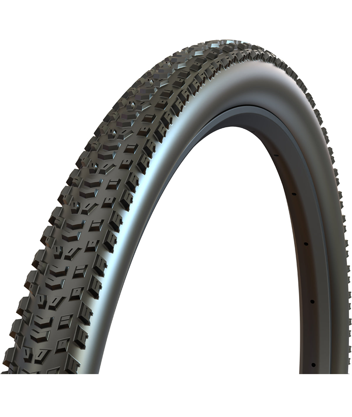 Aspen AT 29x2.40 EXO TR 120TPI pieghevole MaxxSpeed