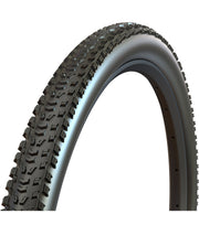 Aspen AT 29x2.40 EXO TR 120TPI pieghevole MaxxSpeed