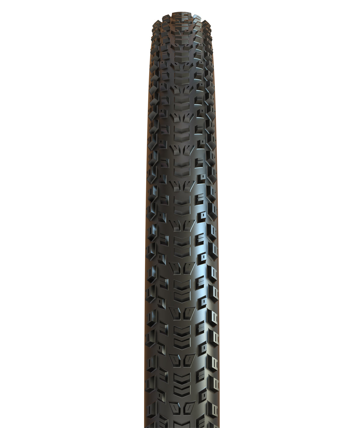Aspen AT 29x2.40 EXO TR 120TPI pieghevole MaxxSpeed